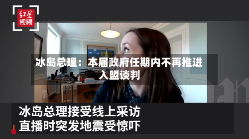 冰岛总理:本届政府任期内不再推进入盟谈判-第3张图片