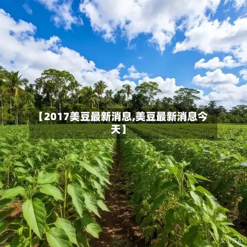 【2017美豆最新消息,美豆最新消息今天】-第3张图片