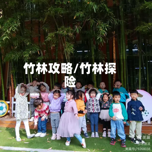 竹林攻略/竹林探险-第2张图片