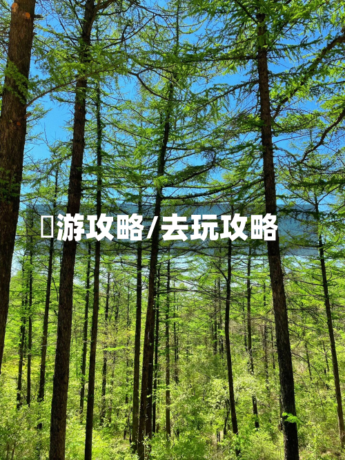 斿游攻略/去玩攻略