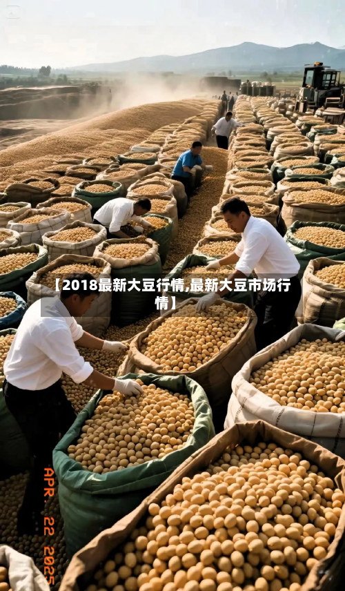 【2018最新大豆行情,最新大豆市场行情】