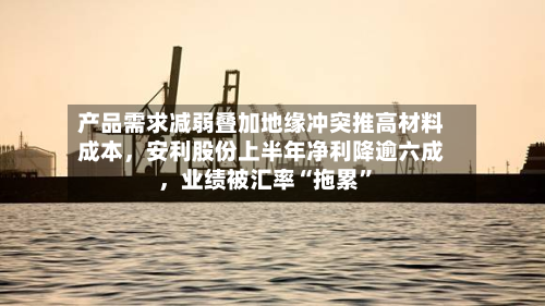 产品需求减弱叠加地缘冲突推高材料成本，安利股份上半年净利降逾六成，业绩被汇率“拖累”