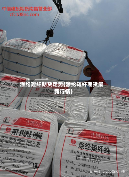涤纶短纤期货走势(涤纶短纤期货最新行情)-第2张图片