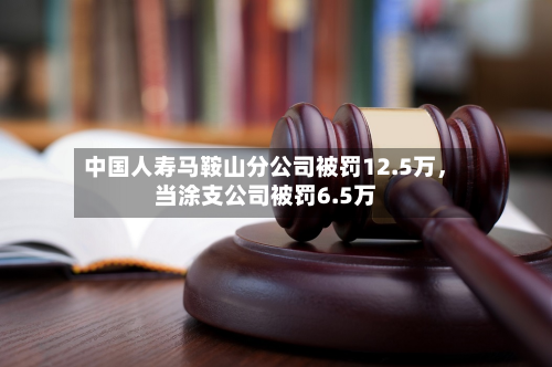 中国人寿马鞍山分公司被罚12.5万，当涂支公司被罚6.5万-第2张图片
